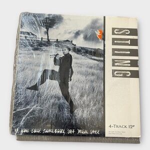 Sting If You Love Somebody Set Them Free 12’ Vinyl Record